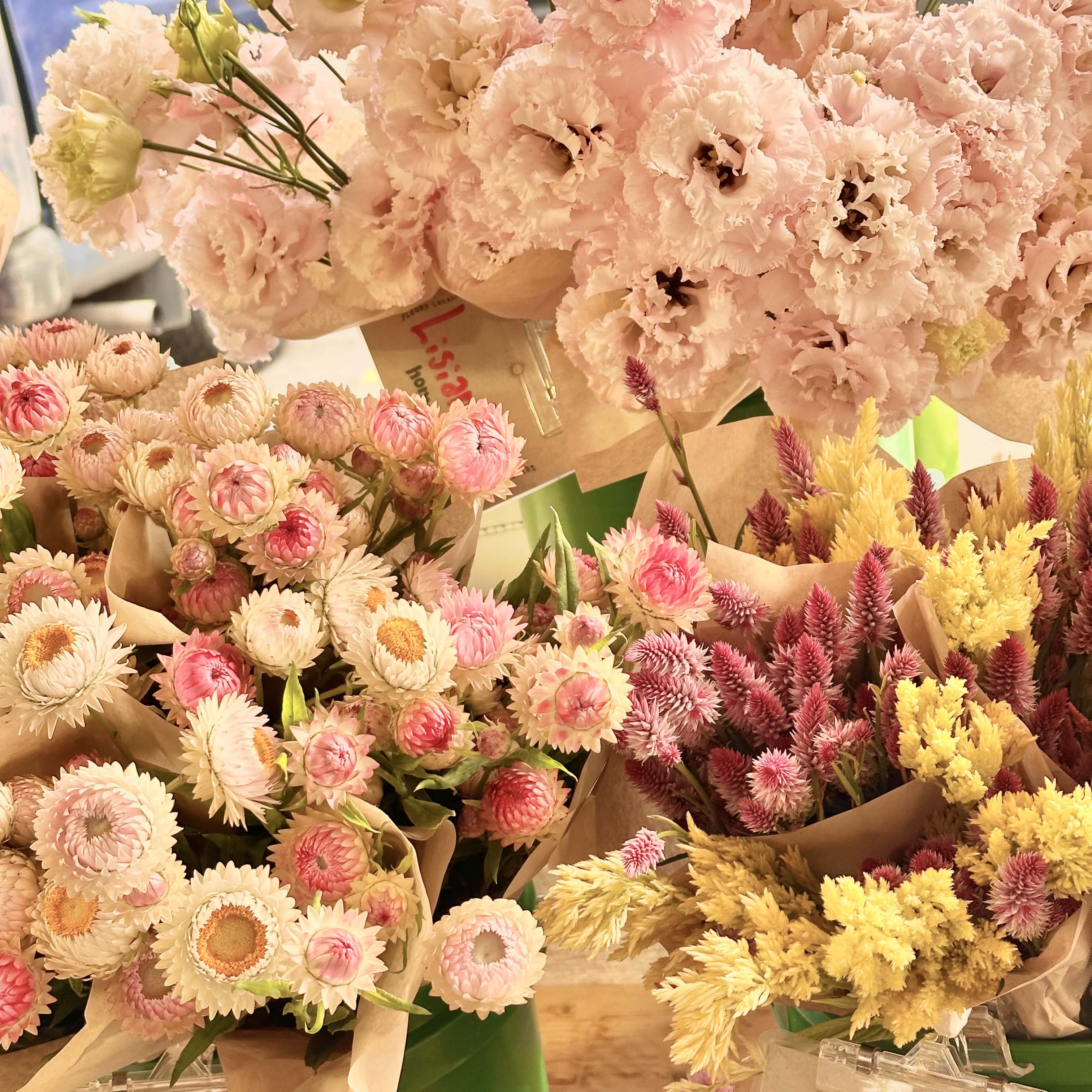 Escapade_automne_Montréal_quoi_faire_quoi_voir