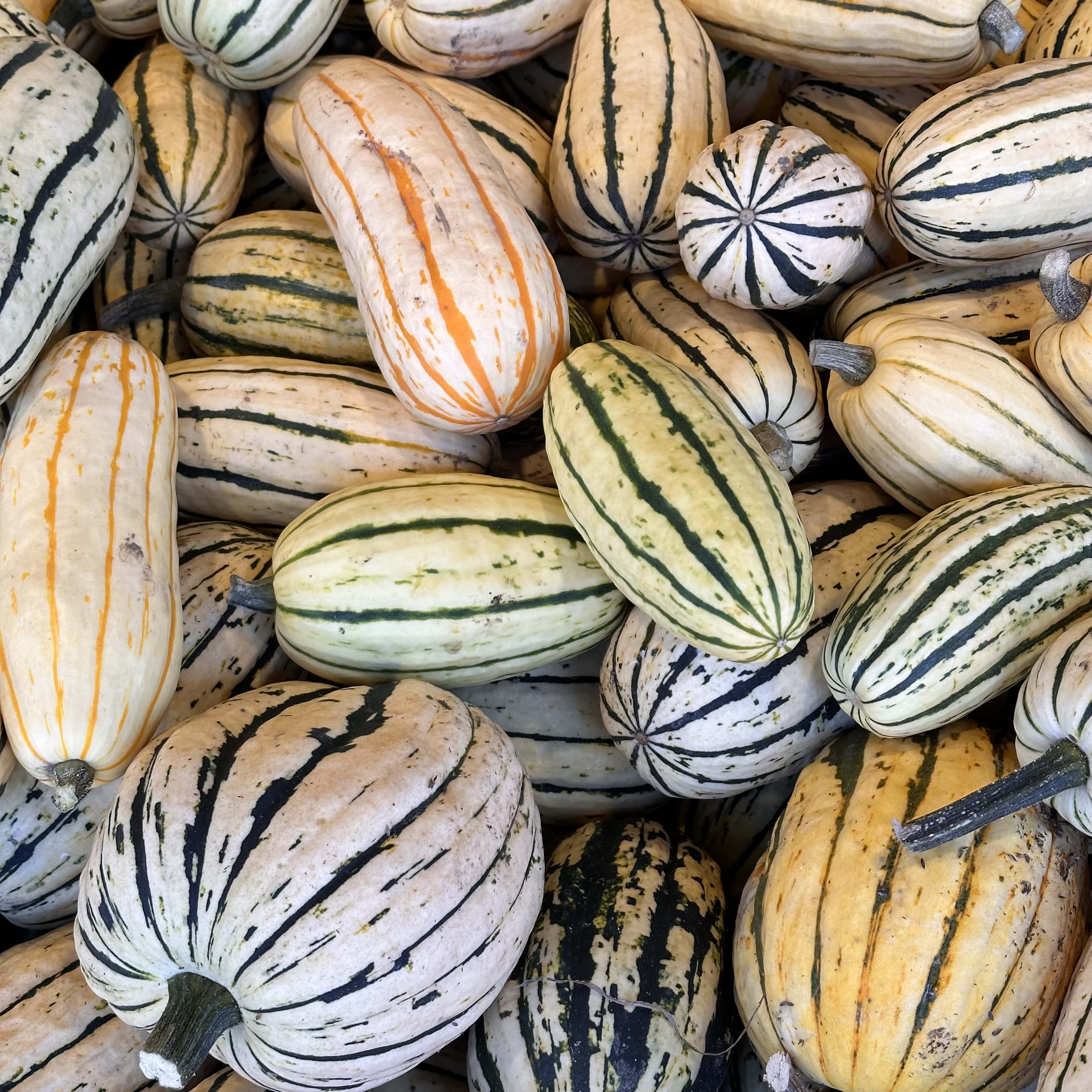 Escapade_automne_Montréal_quoi_faire_quoi_voir