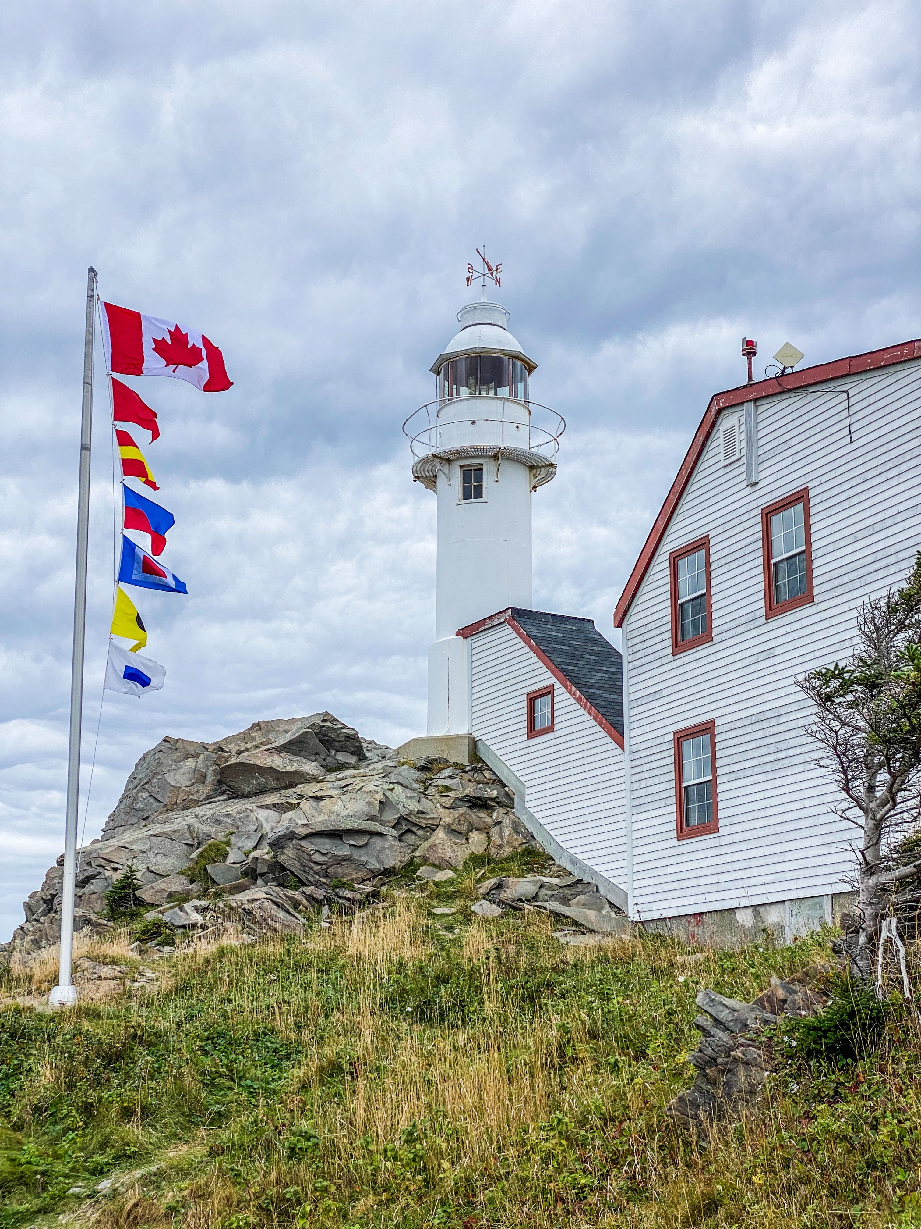 Road_trip_a_Terre_Neuve