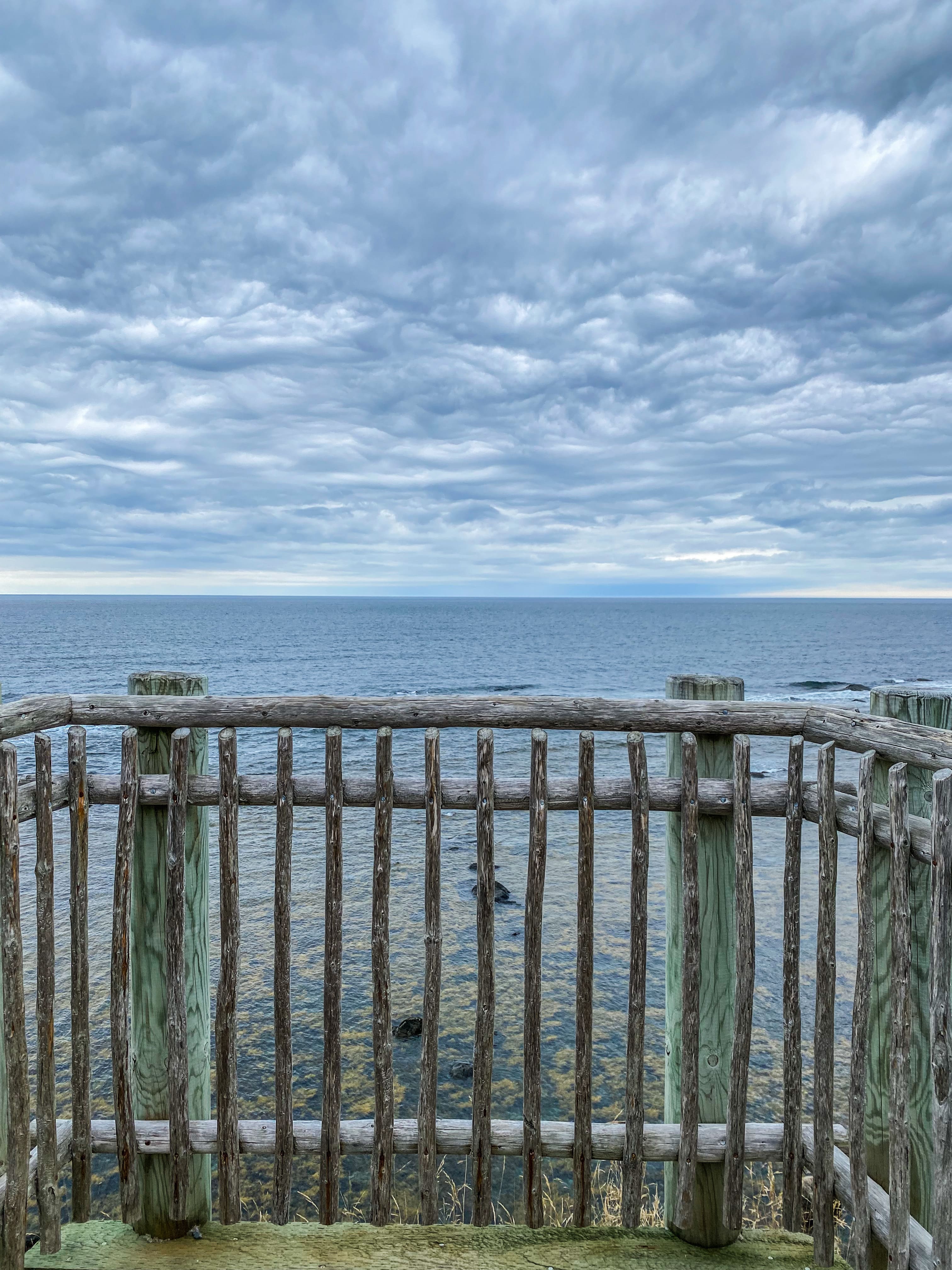 Road_trip_a_Terre_Neuve