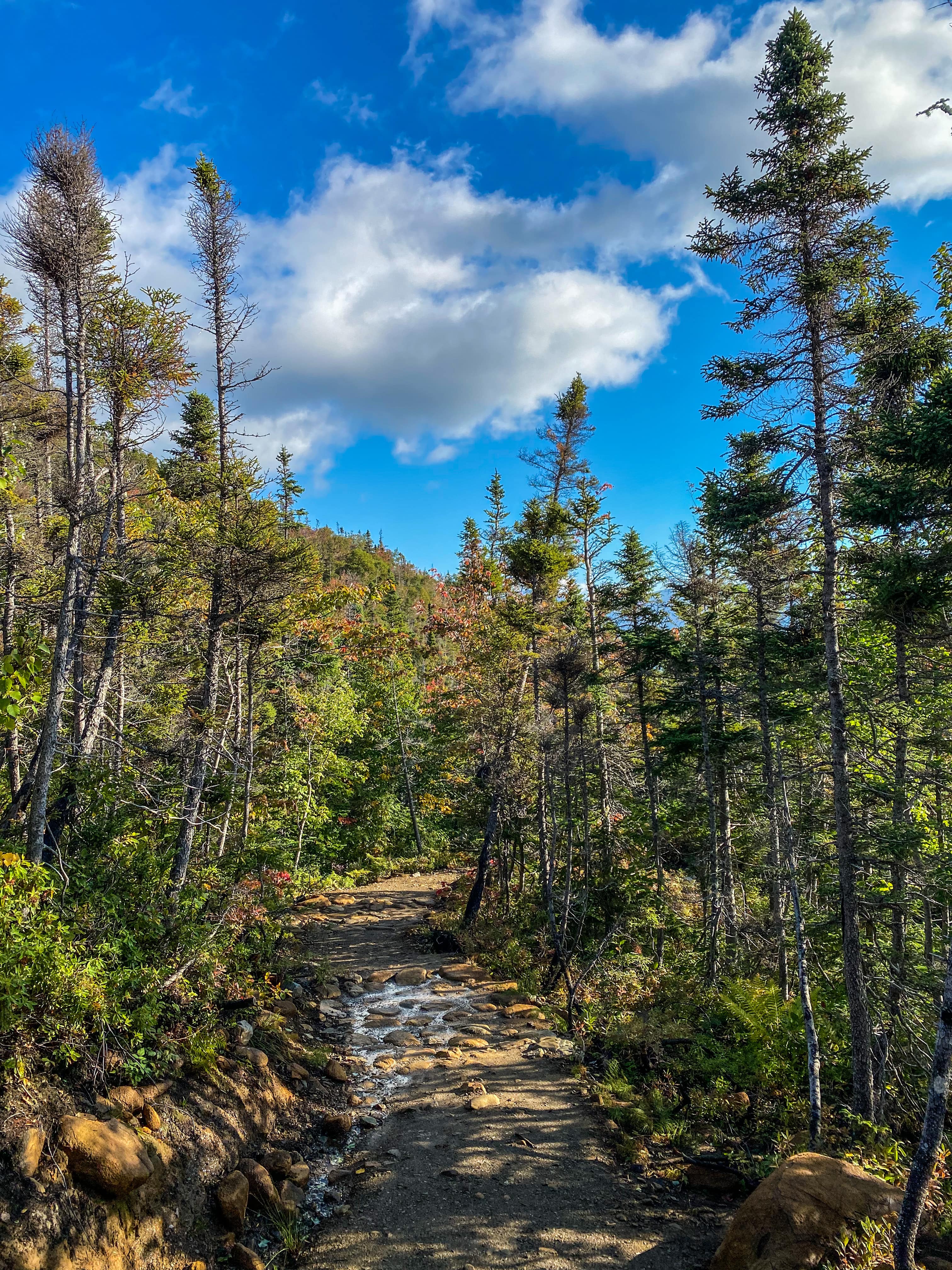 Road_trip_a_Terre_Neuve