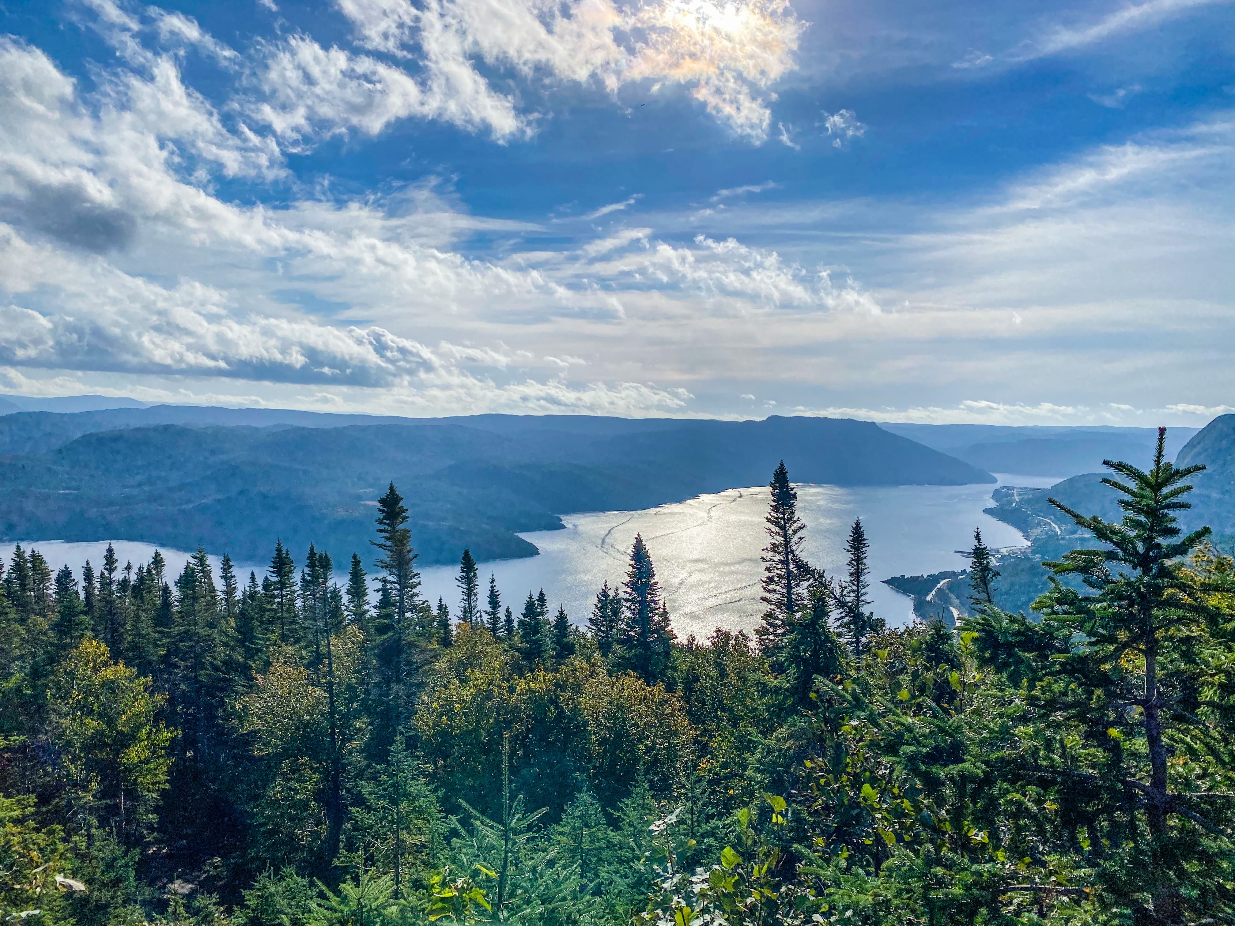 Road_trip_a_Terre_Neuve