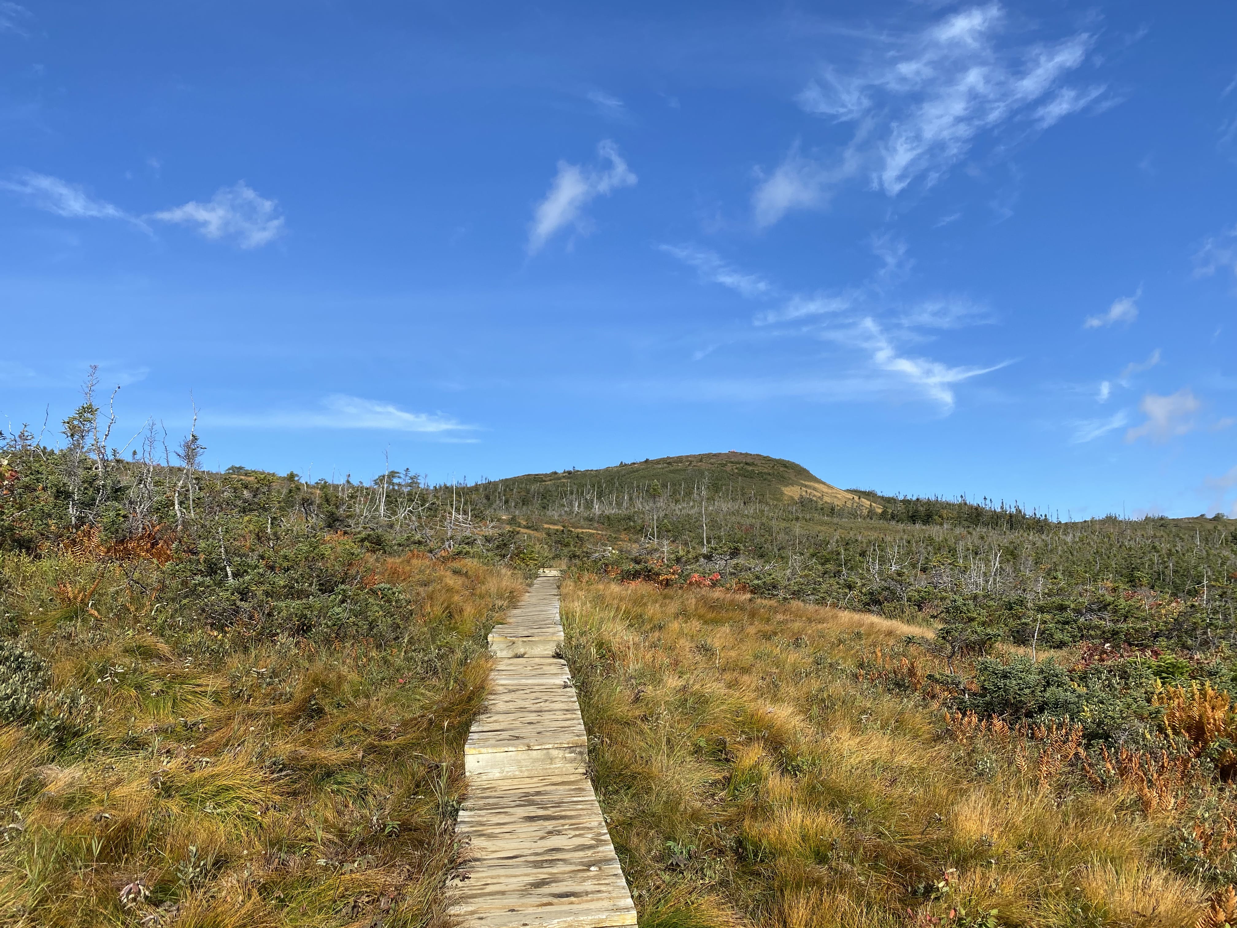 Road_trip_a_Terre_Neuve