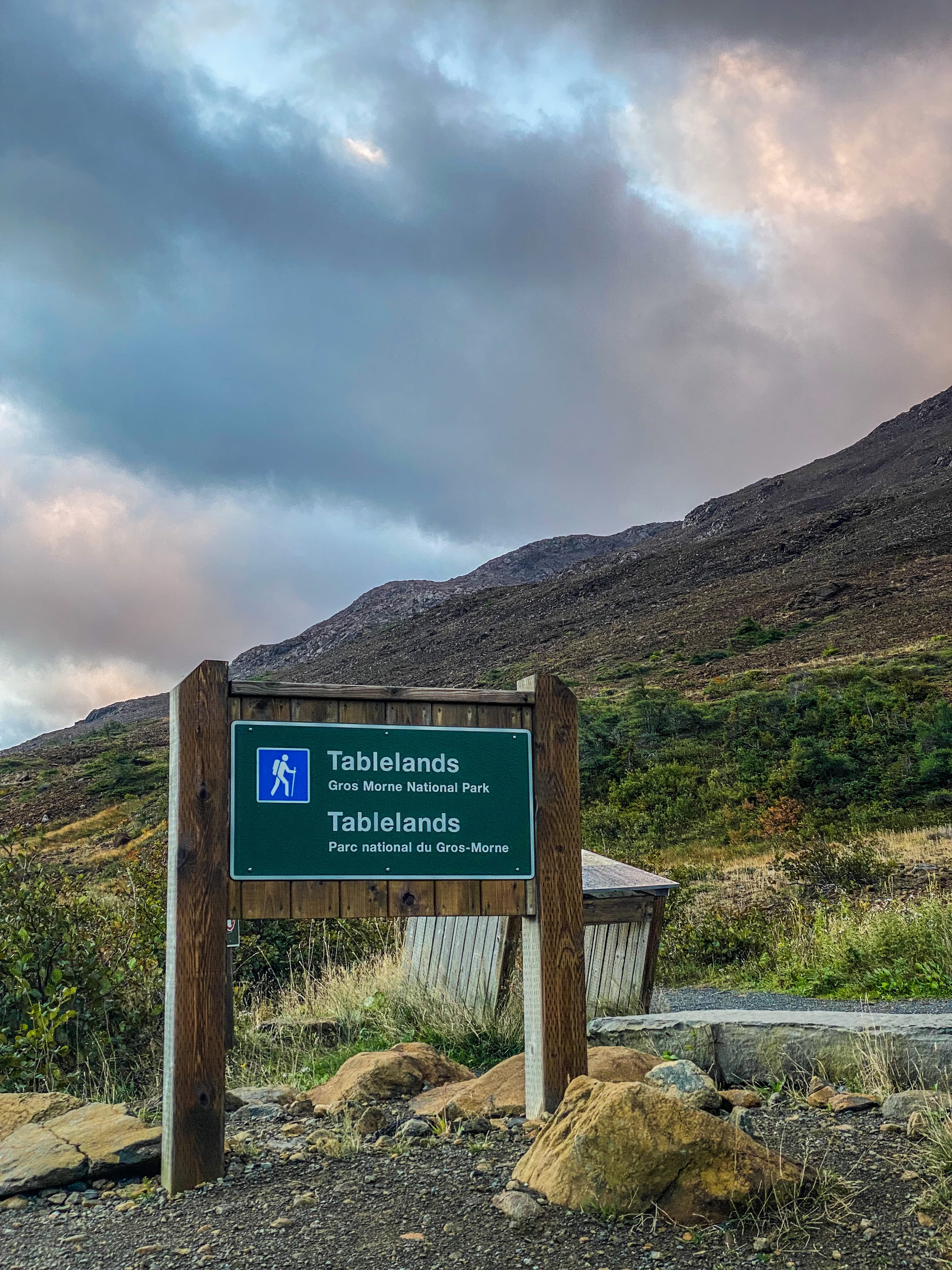 Road_trip_a_Terre_Neuve