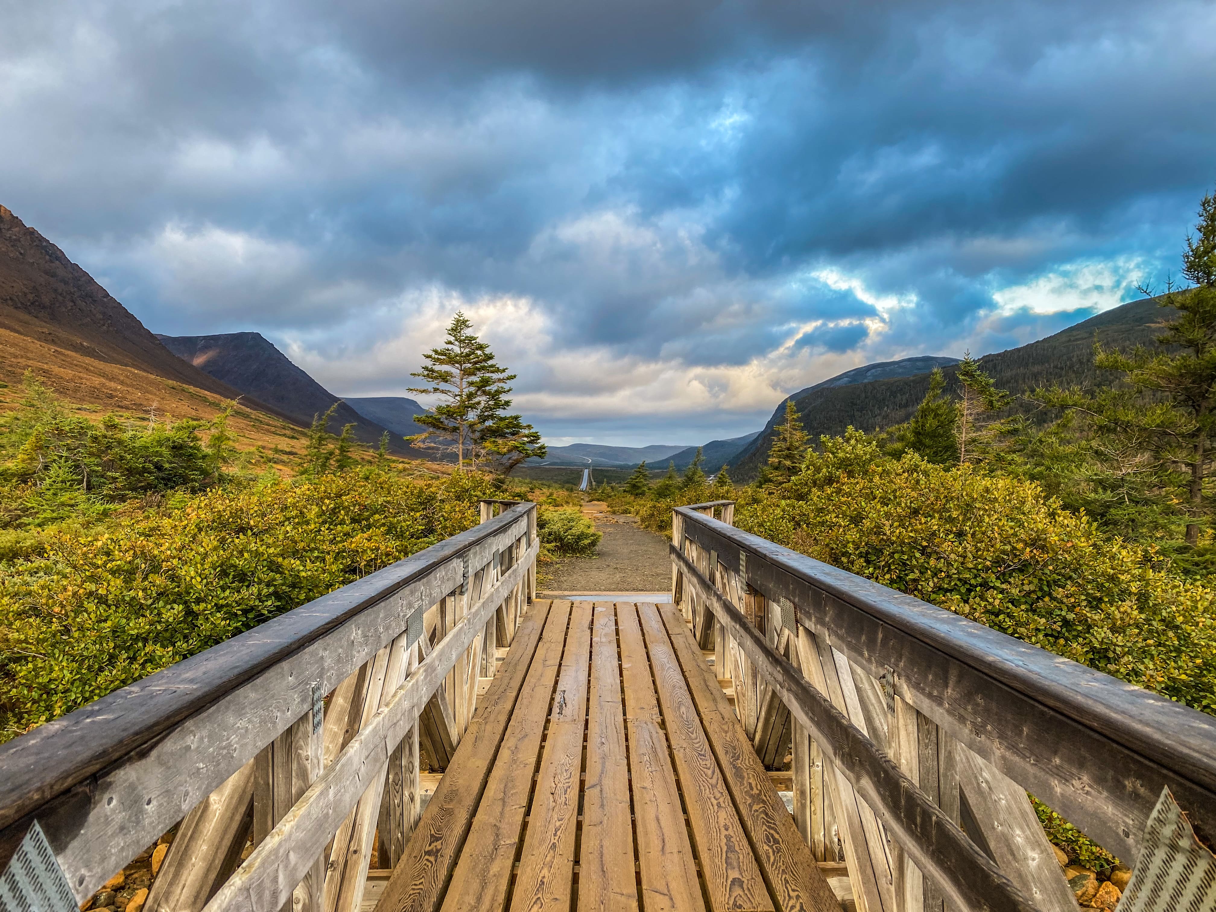 Road_trip_a_Terre_Neuve