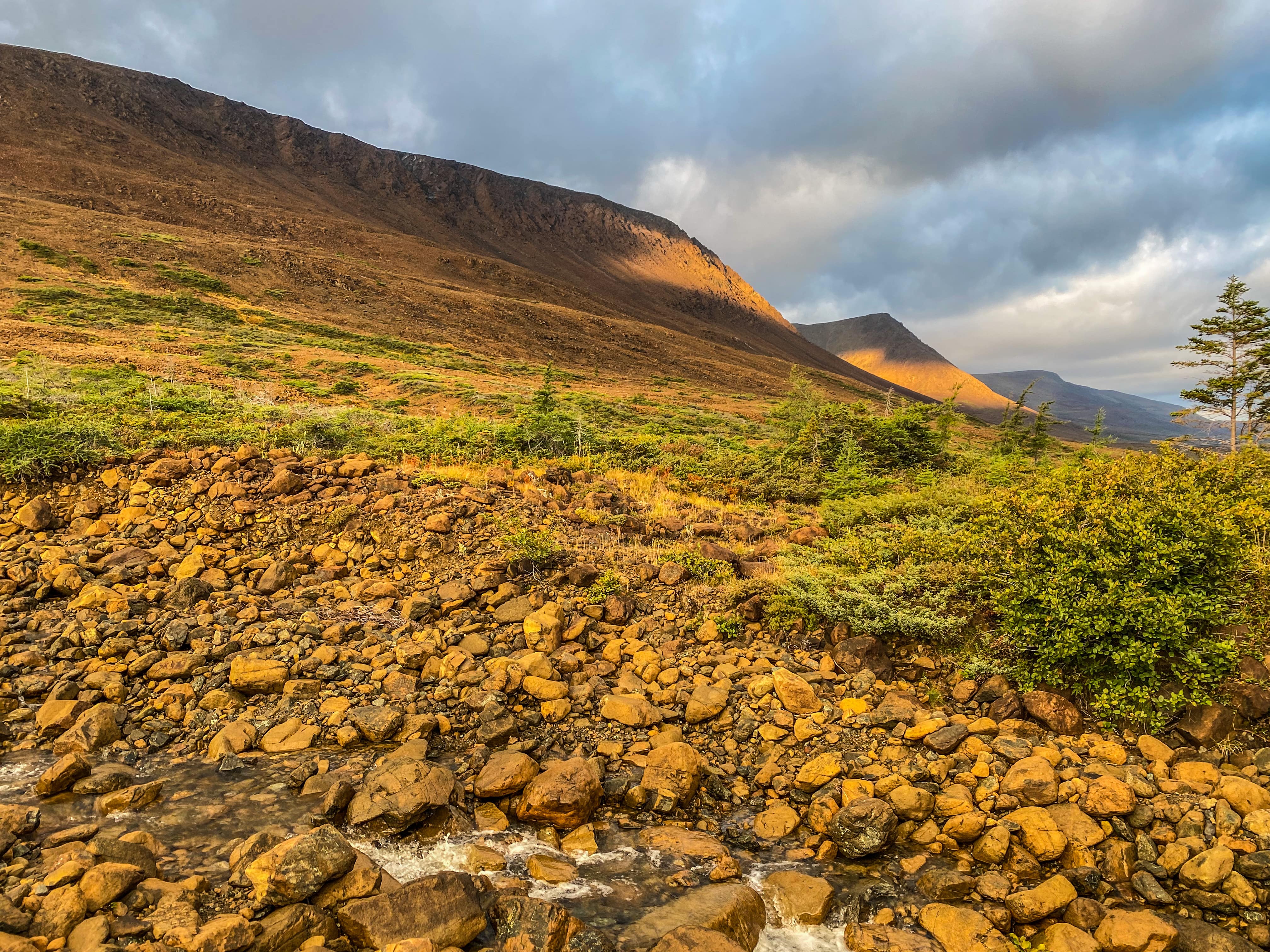 Road_trip_a_Terre_Neuve