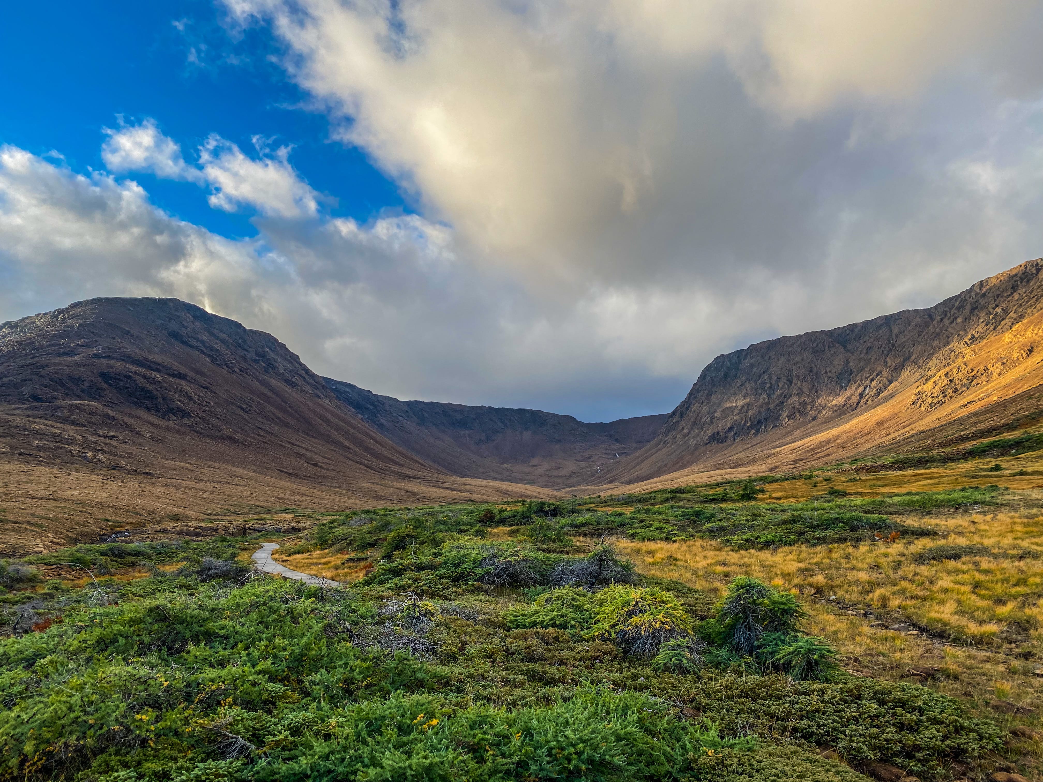 Road_trip_a_Terre_Neuve