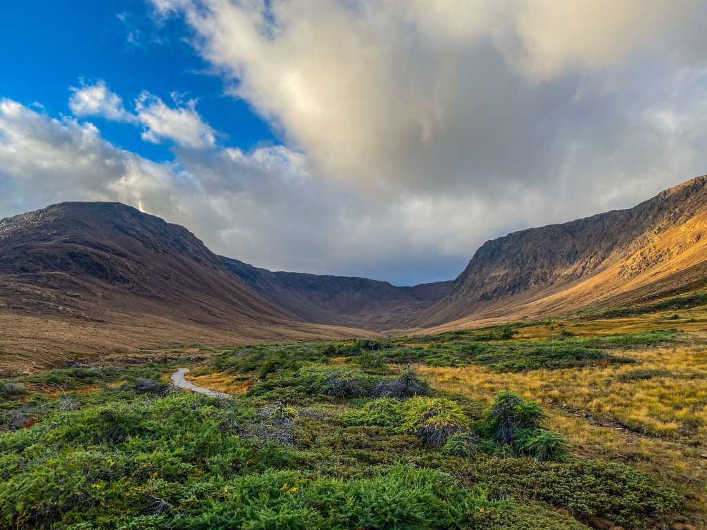 Road_trip_a_Terre_Neuve