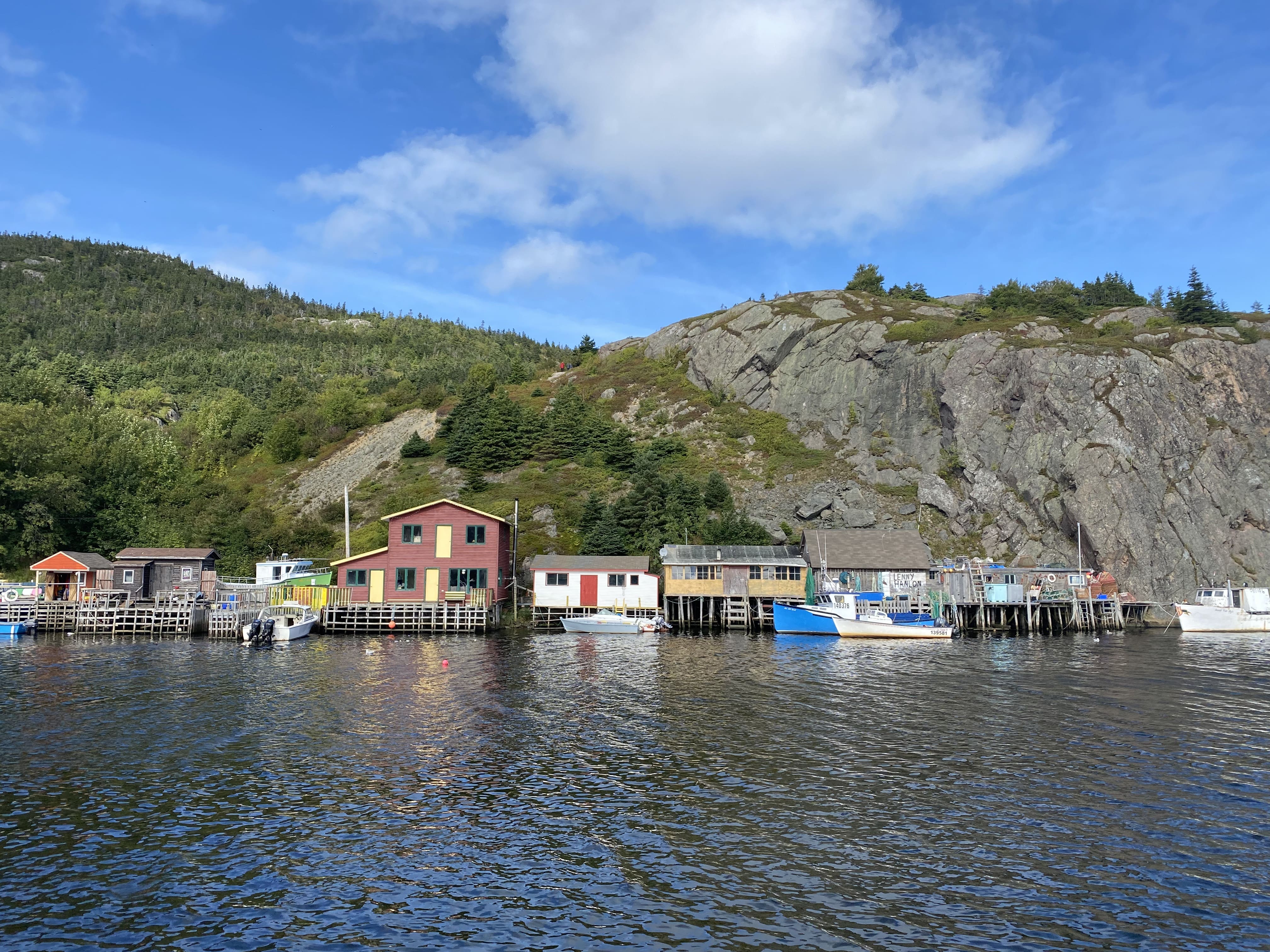 Road_trip_a_Terre_Neuve