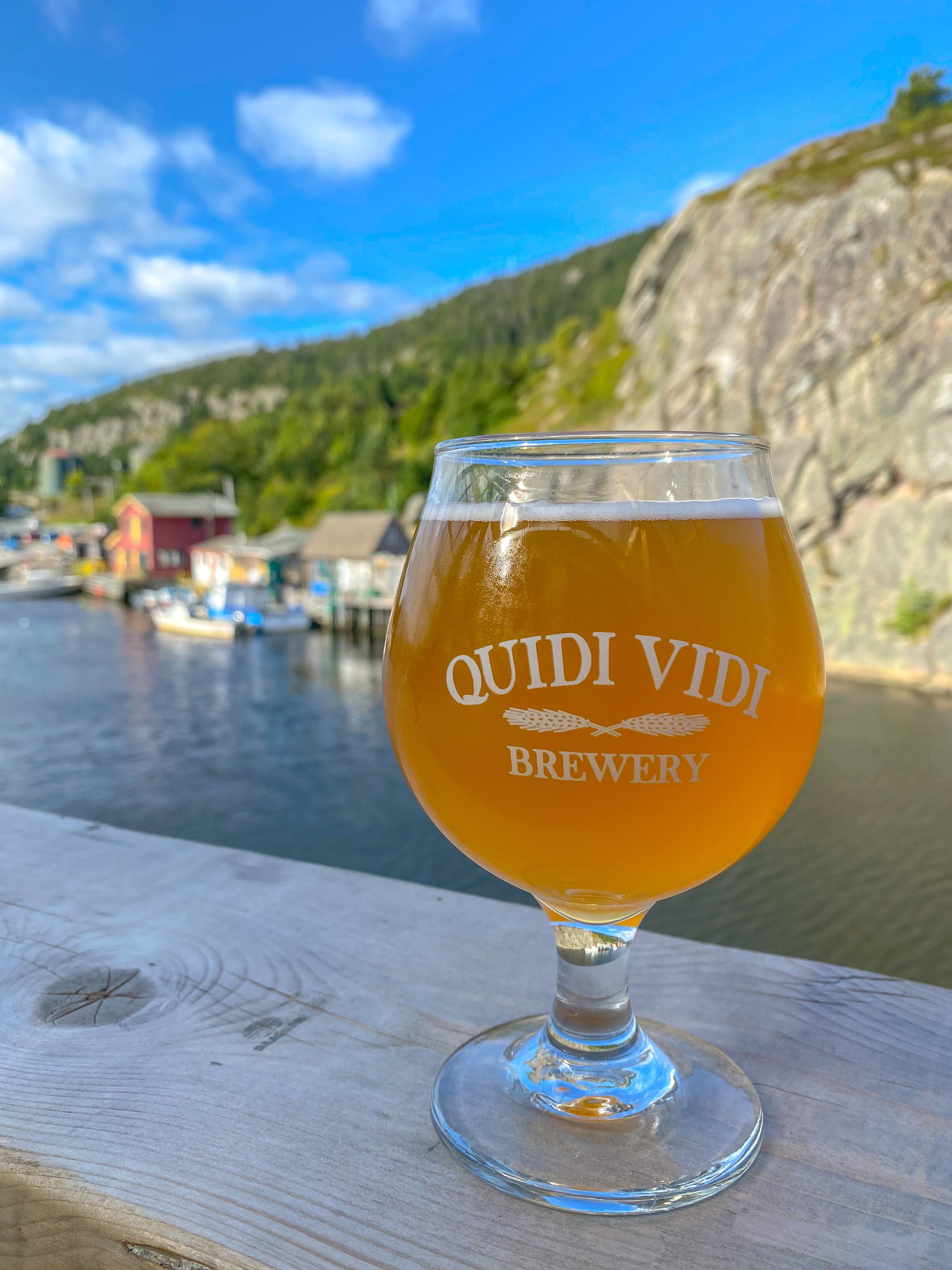 Road_trip_a_Terre_Neuve