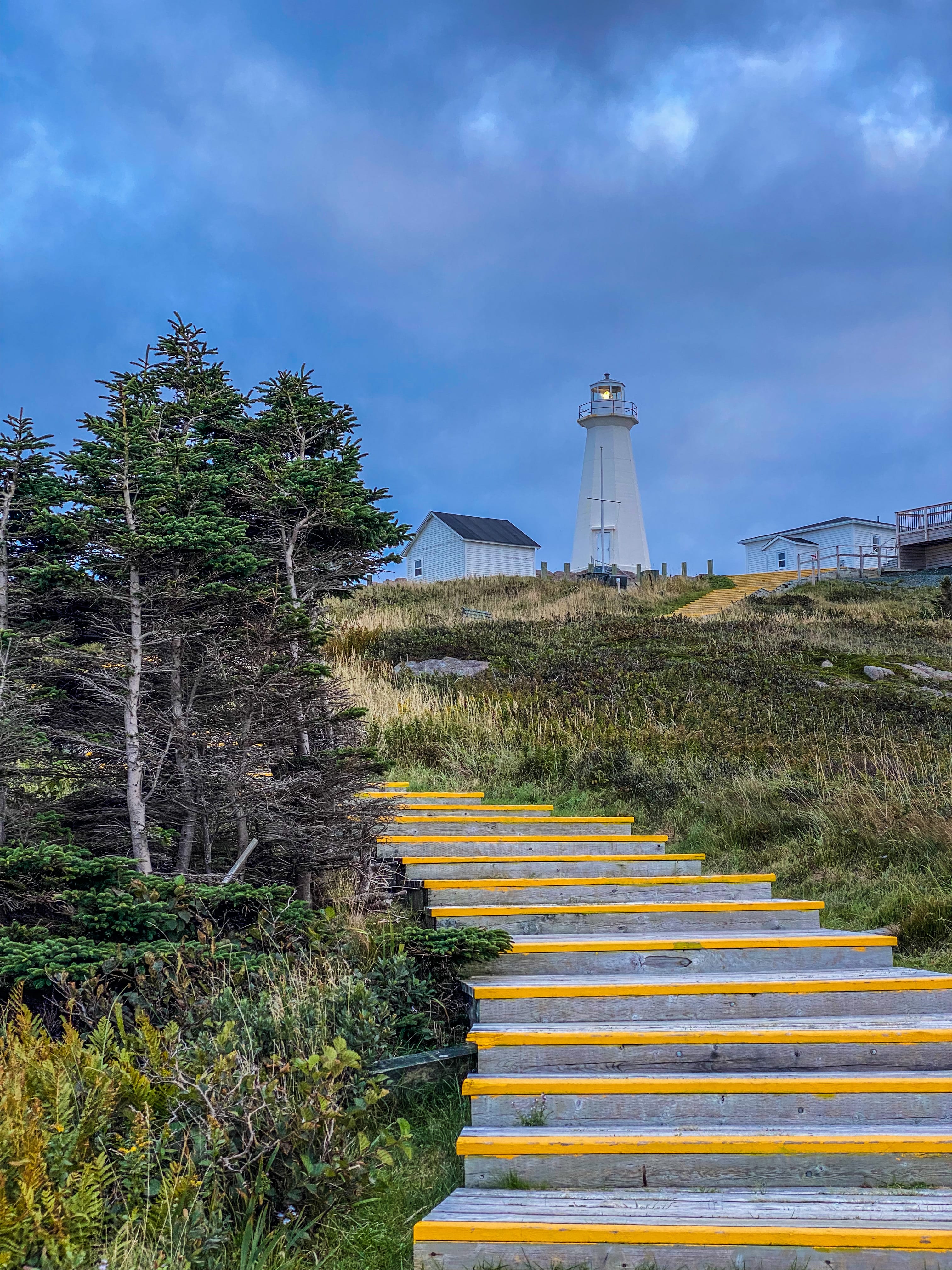 Road_trip_a_Terre_Neuve