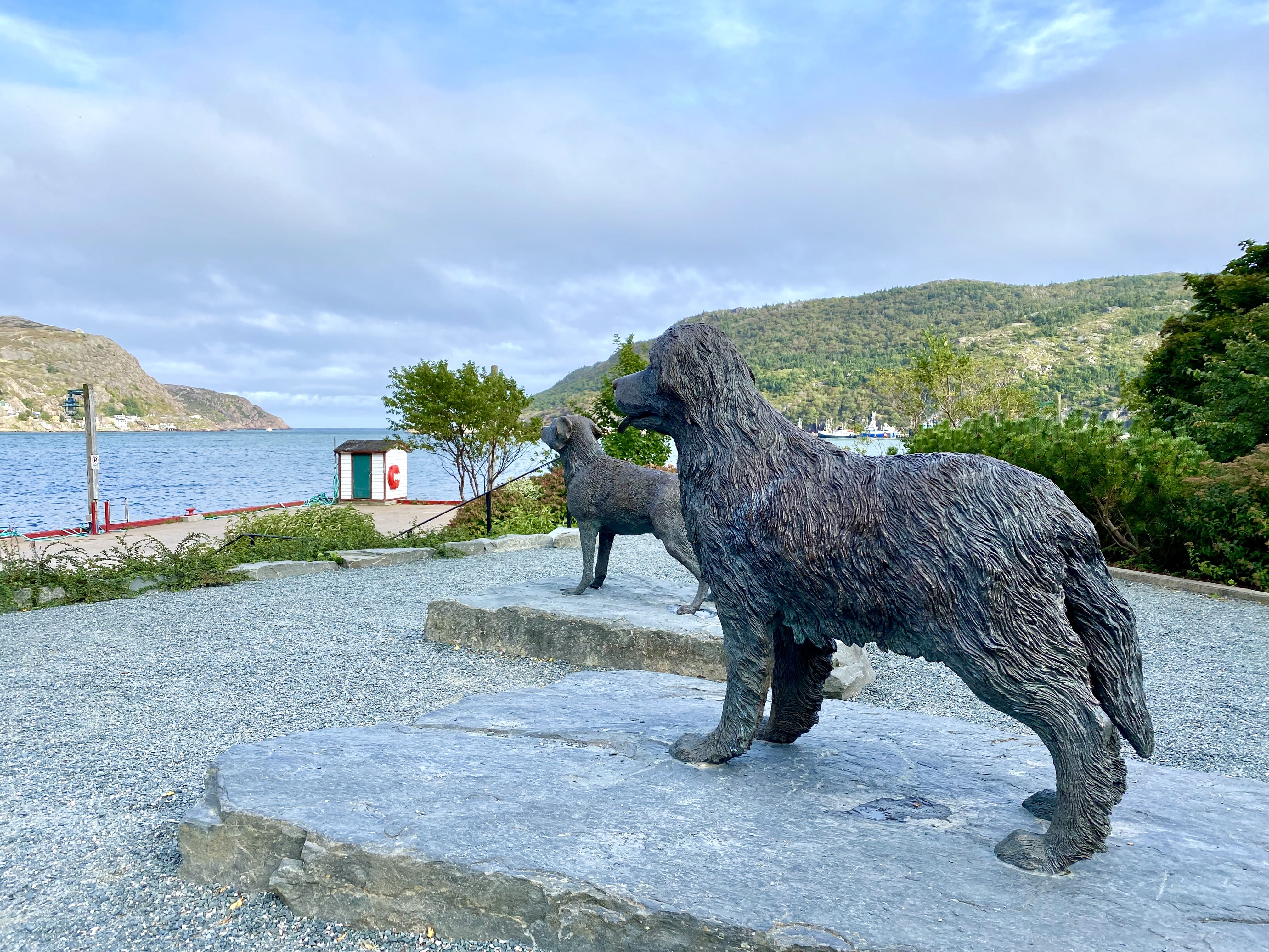 Road_trip_a_Terre_Neuve