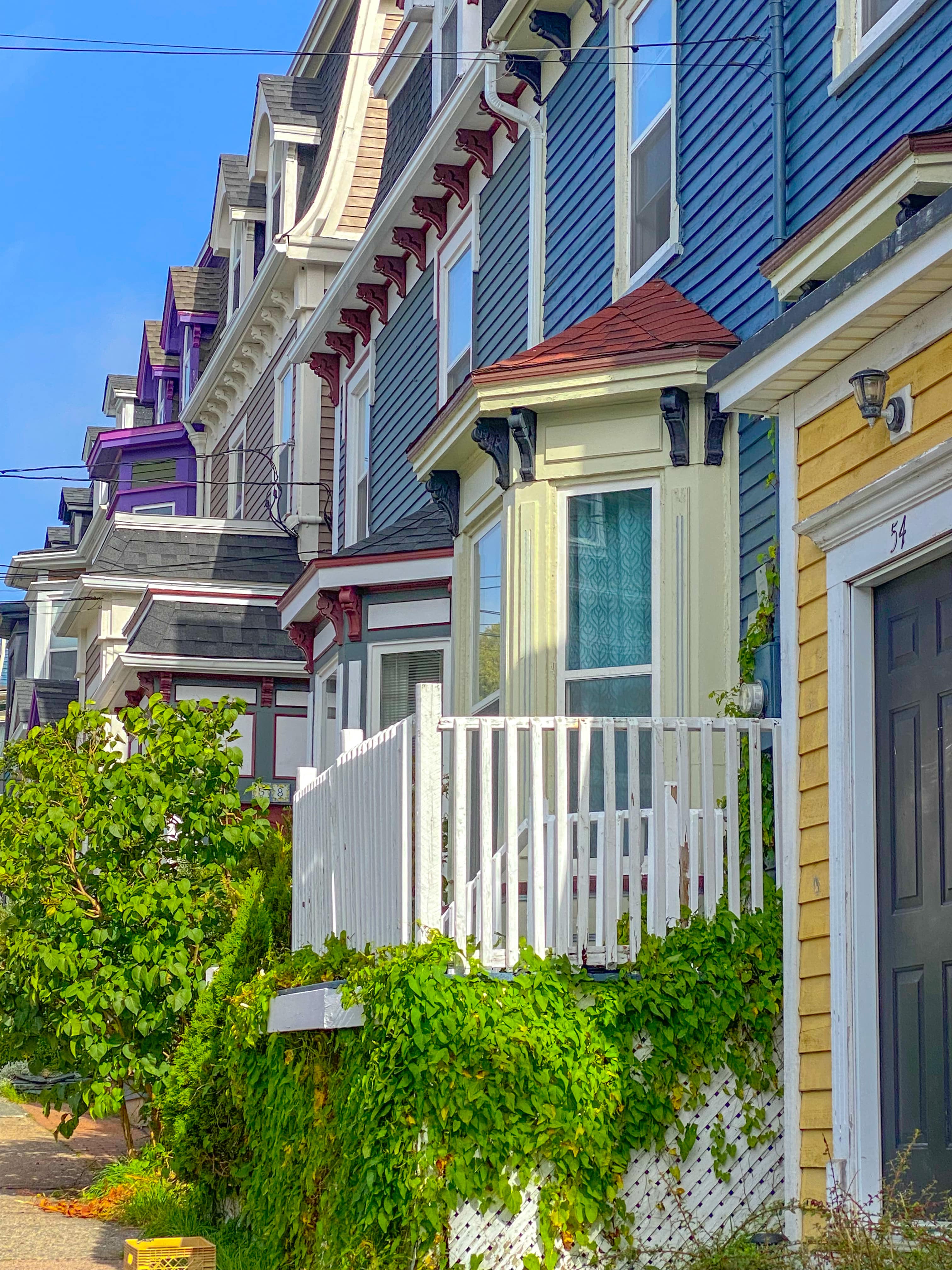 Road_trip_a_Terre_Neuve