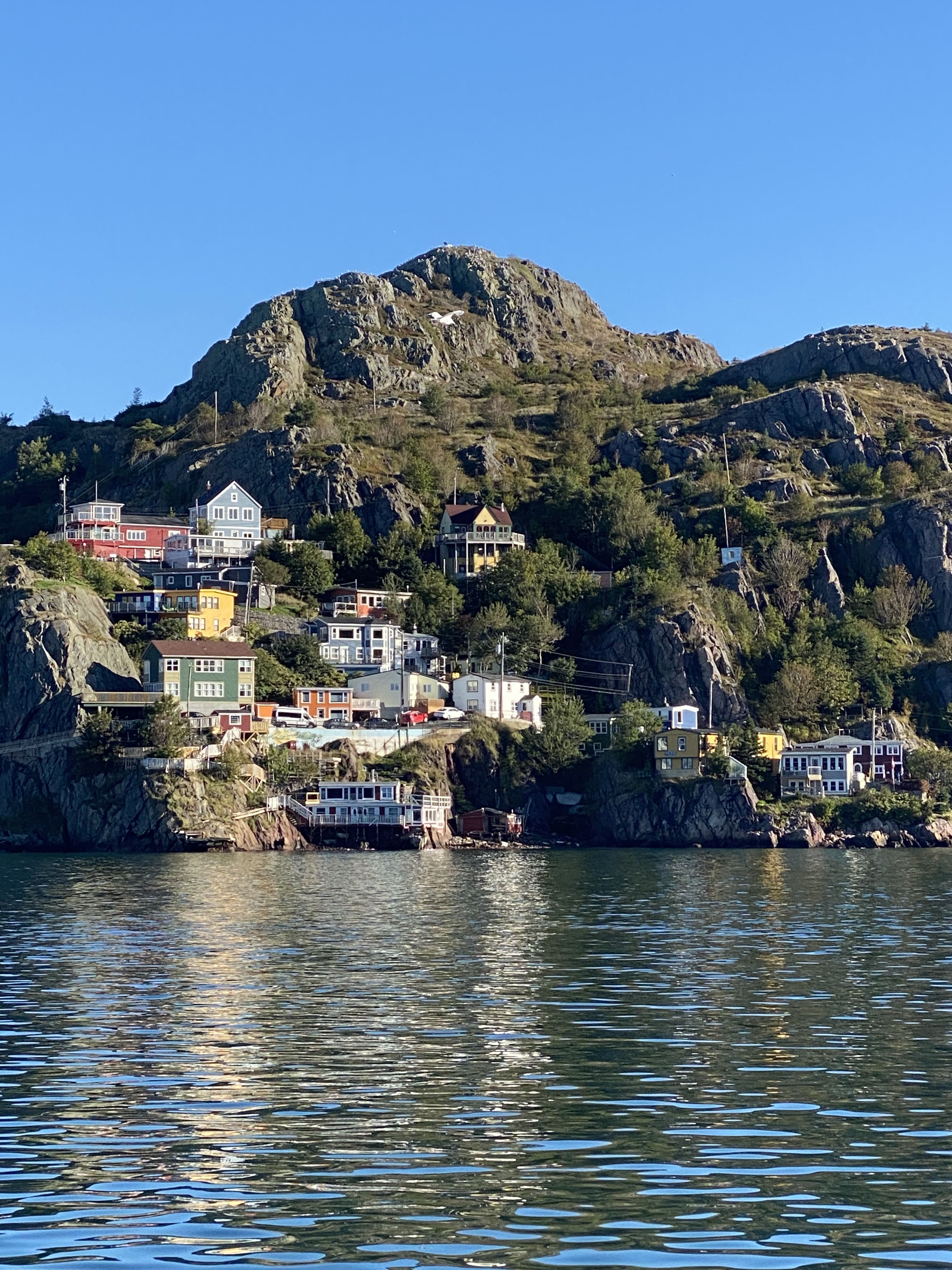 Road_trip_a_Terre_Neuve