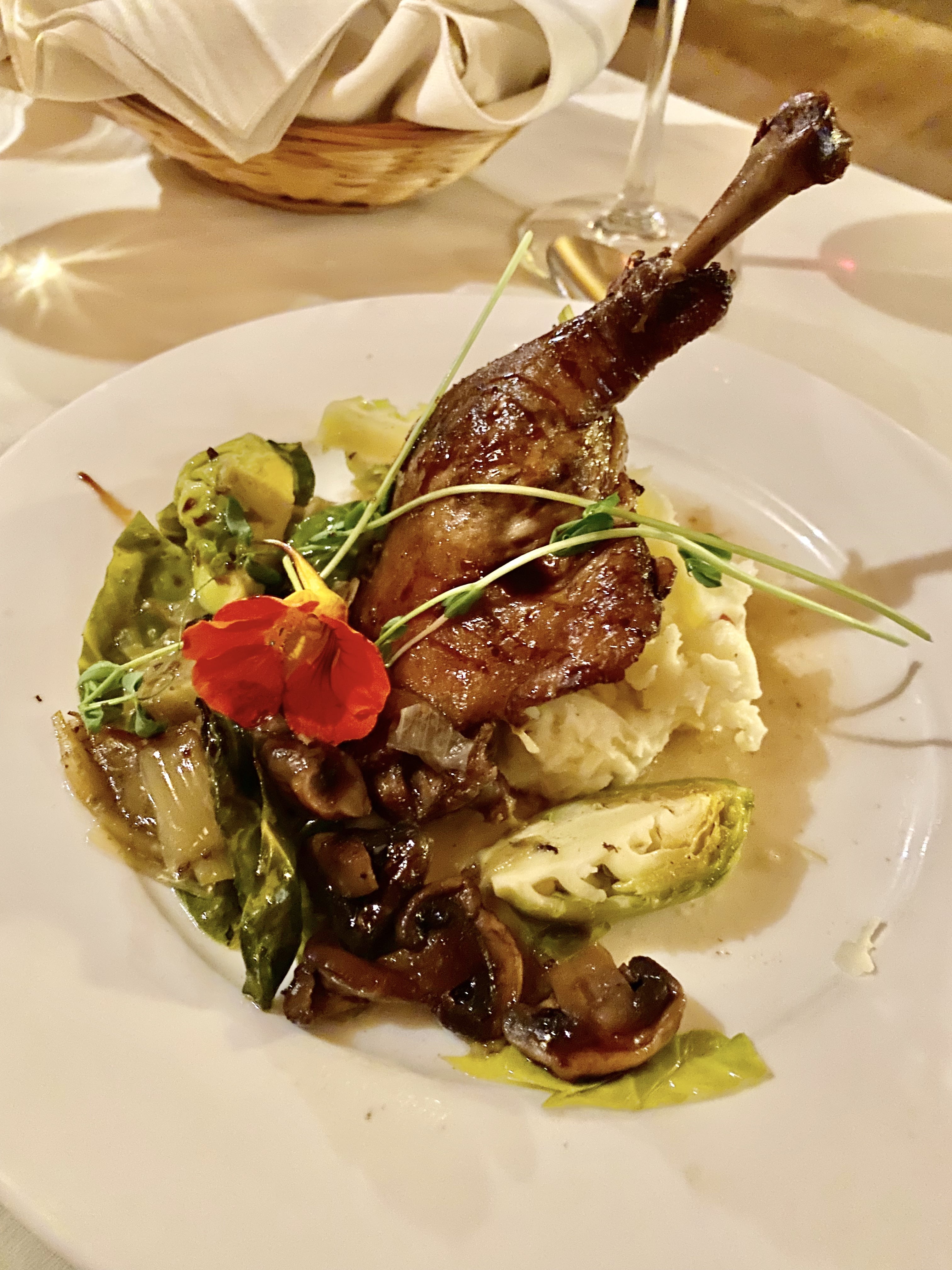 Road_trip_a_Terre_Neuve