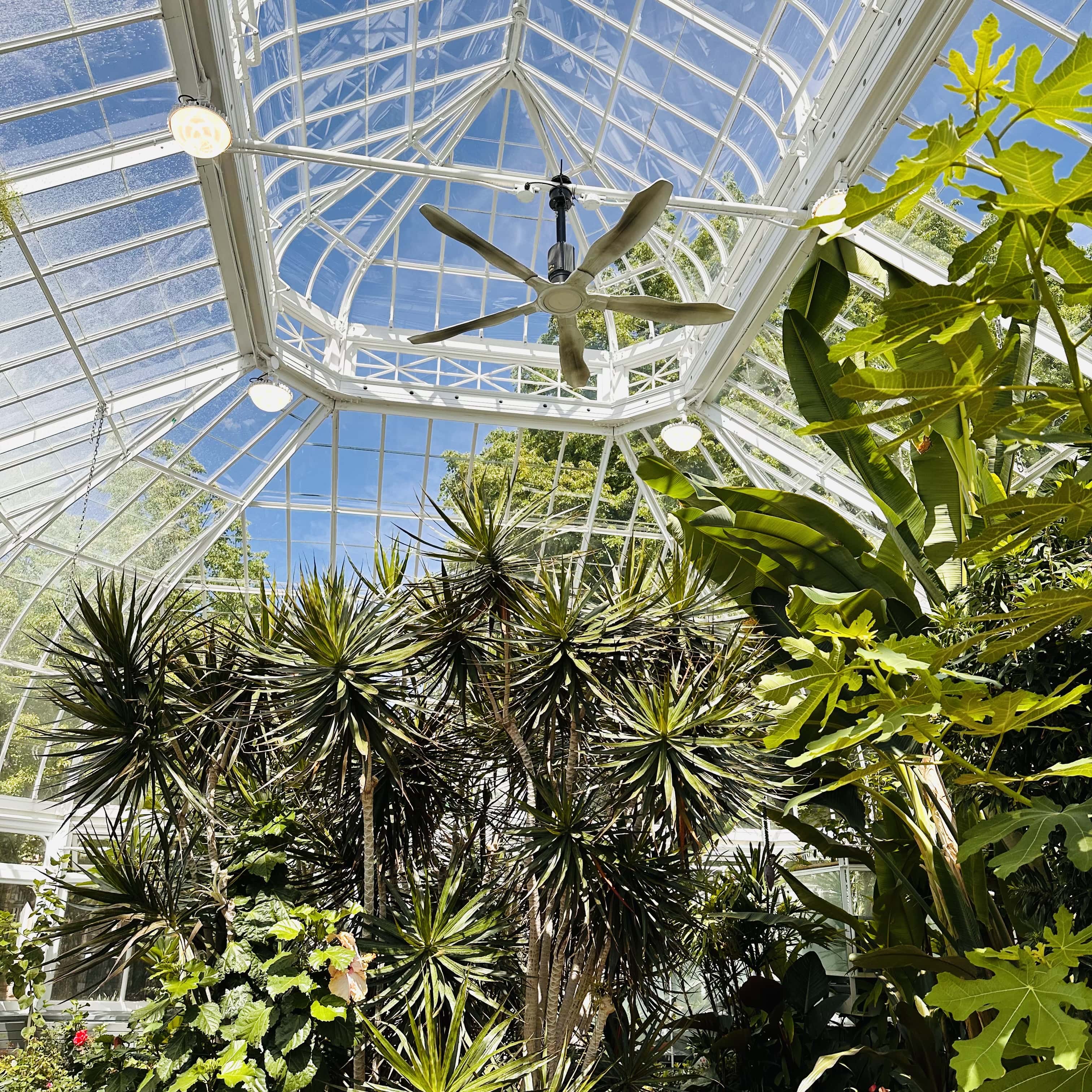 Quoi_faire_à-Montreal