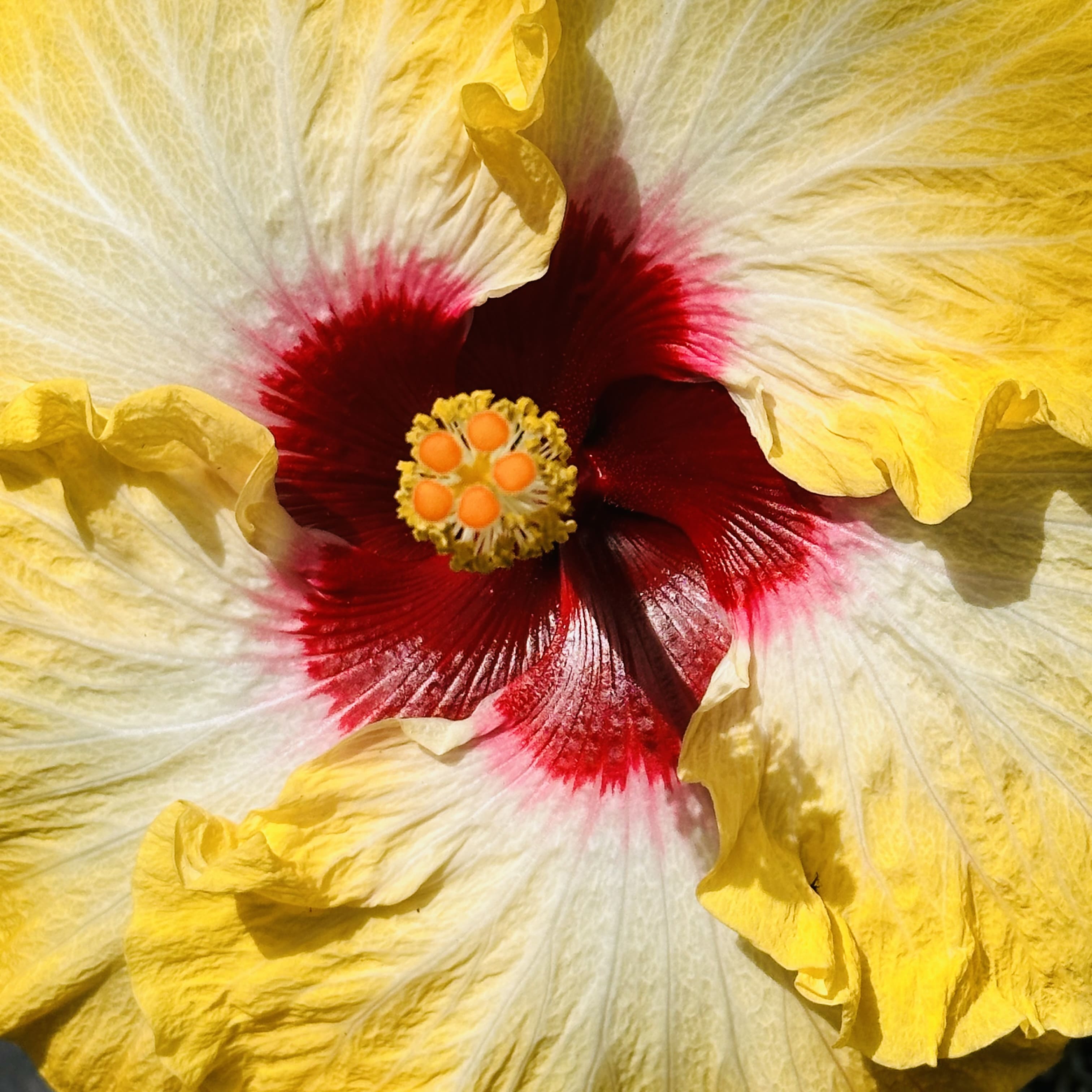 Quoi_faire_à-Montreal
