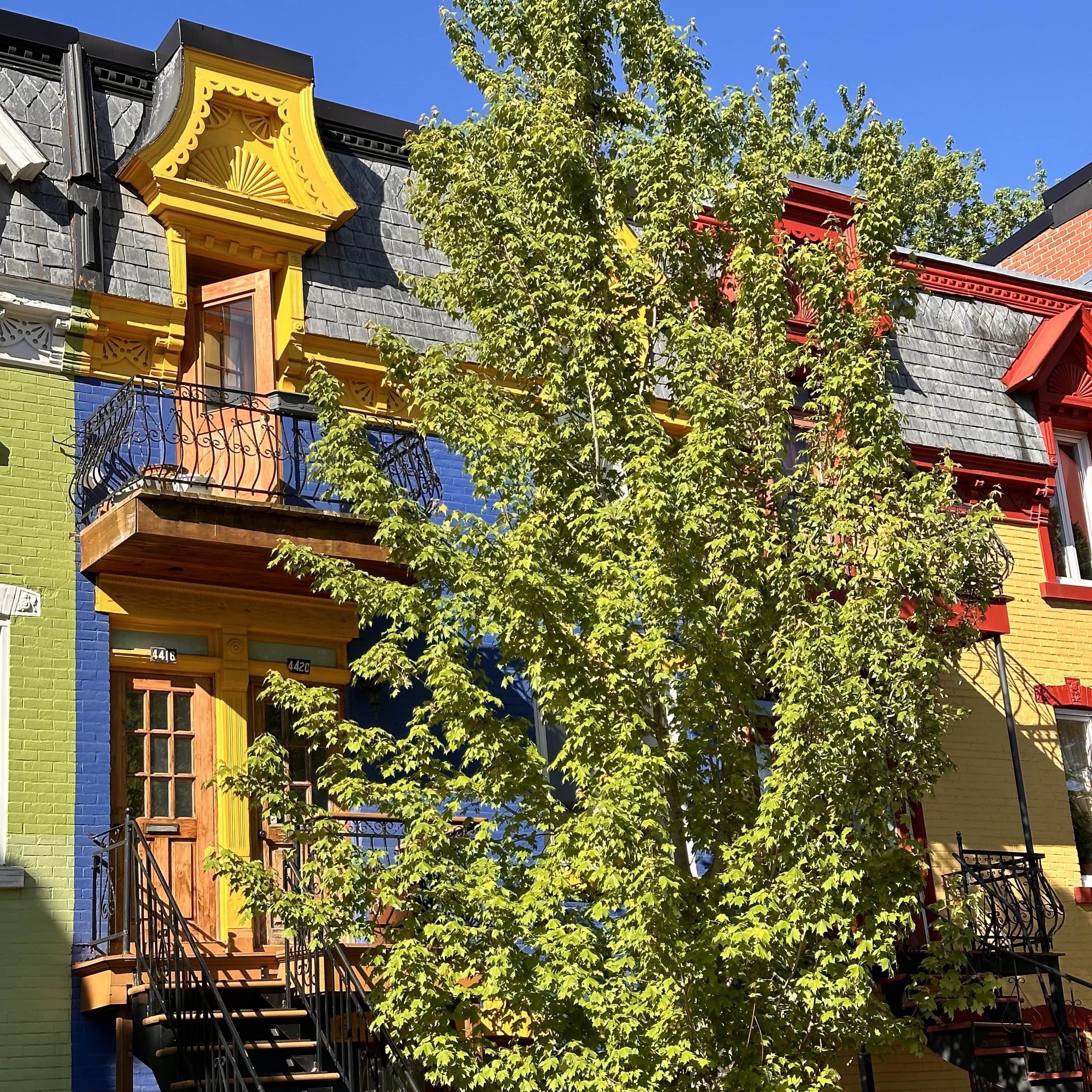 Quoi_faire_à-Montreal