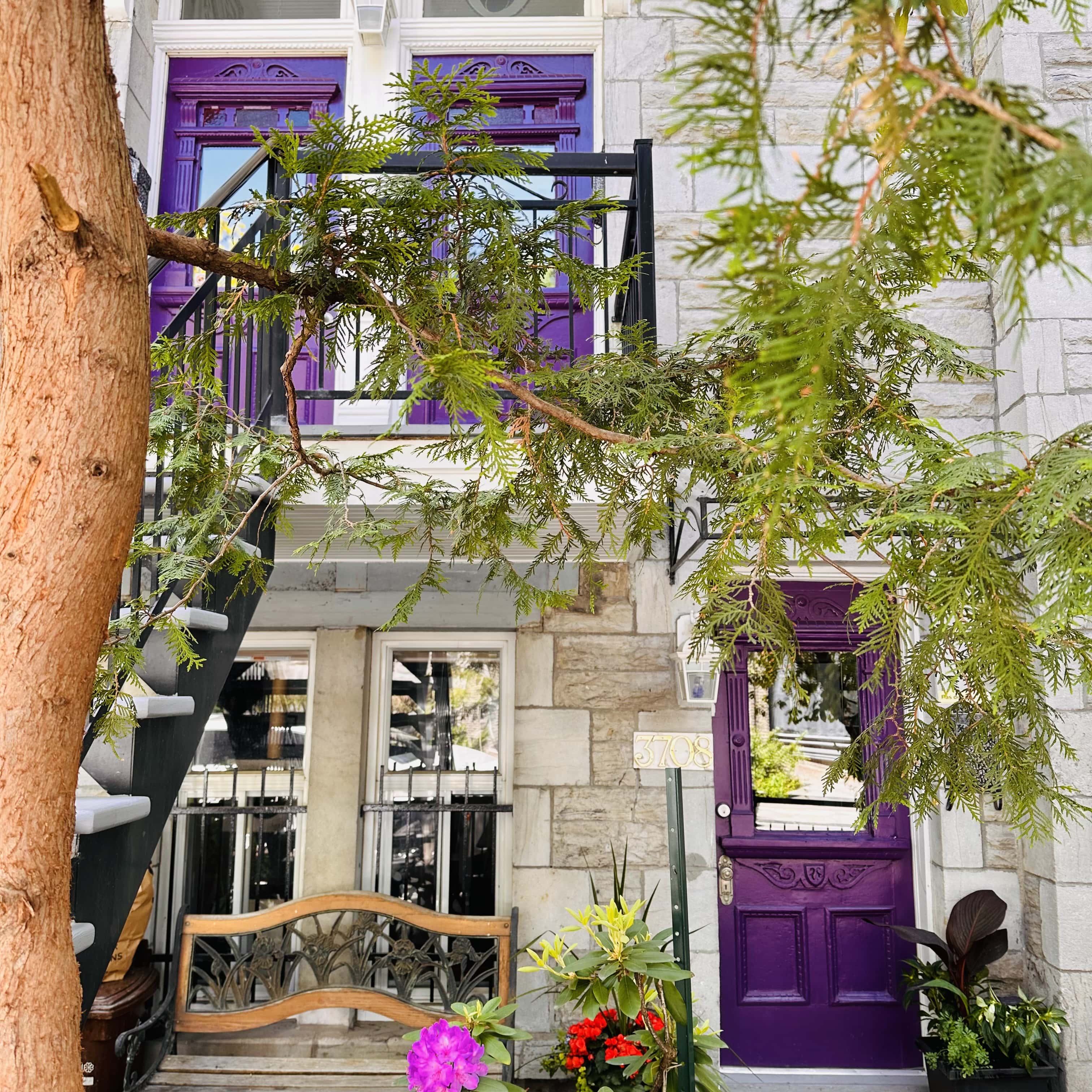 Quoi_faire_à-Montreal