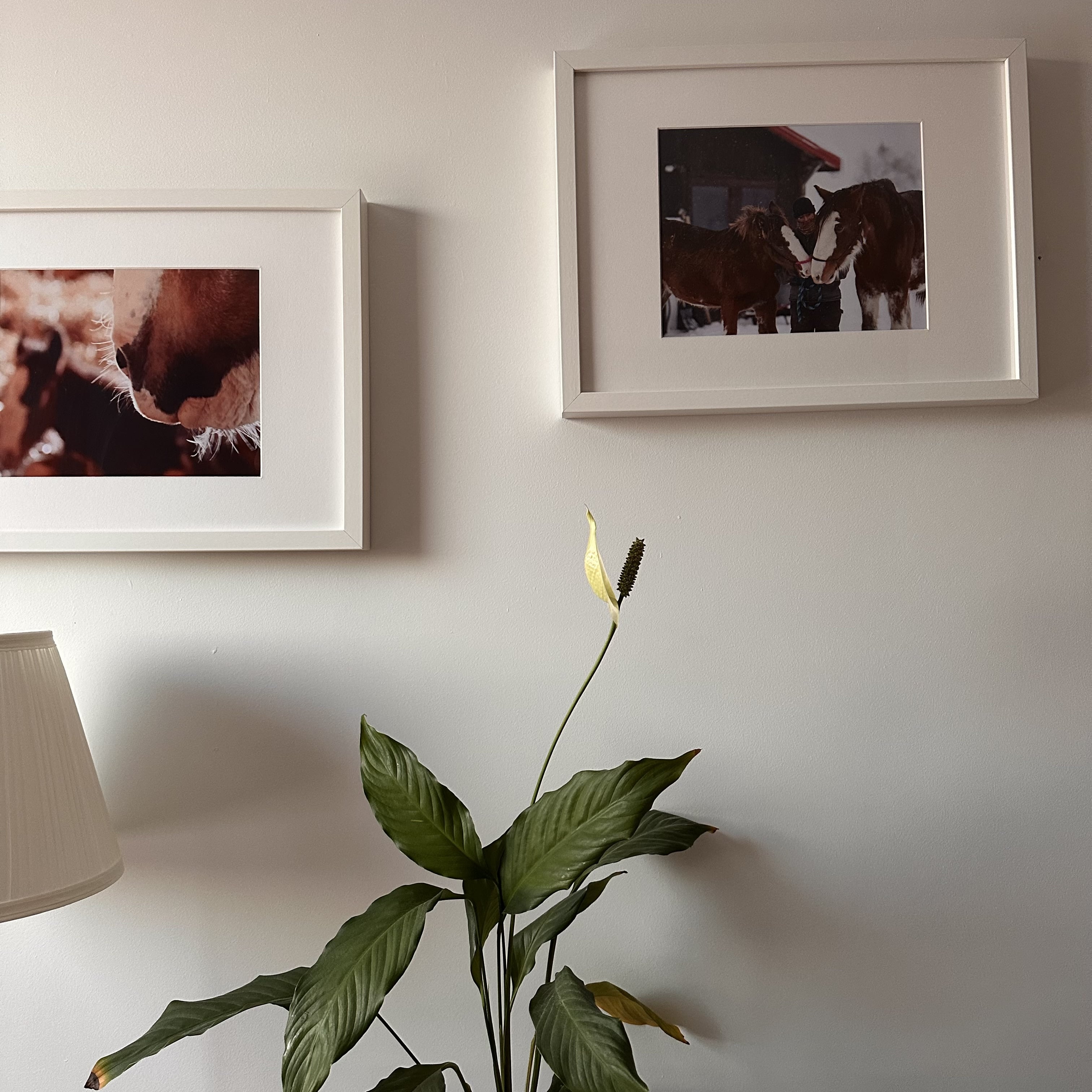 Saint_Ferréol_les_Neiges_destination_pour_un_week-end_parfait_sur_la_Côte_de_Beaupré