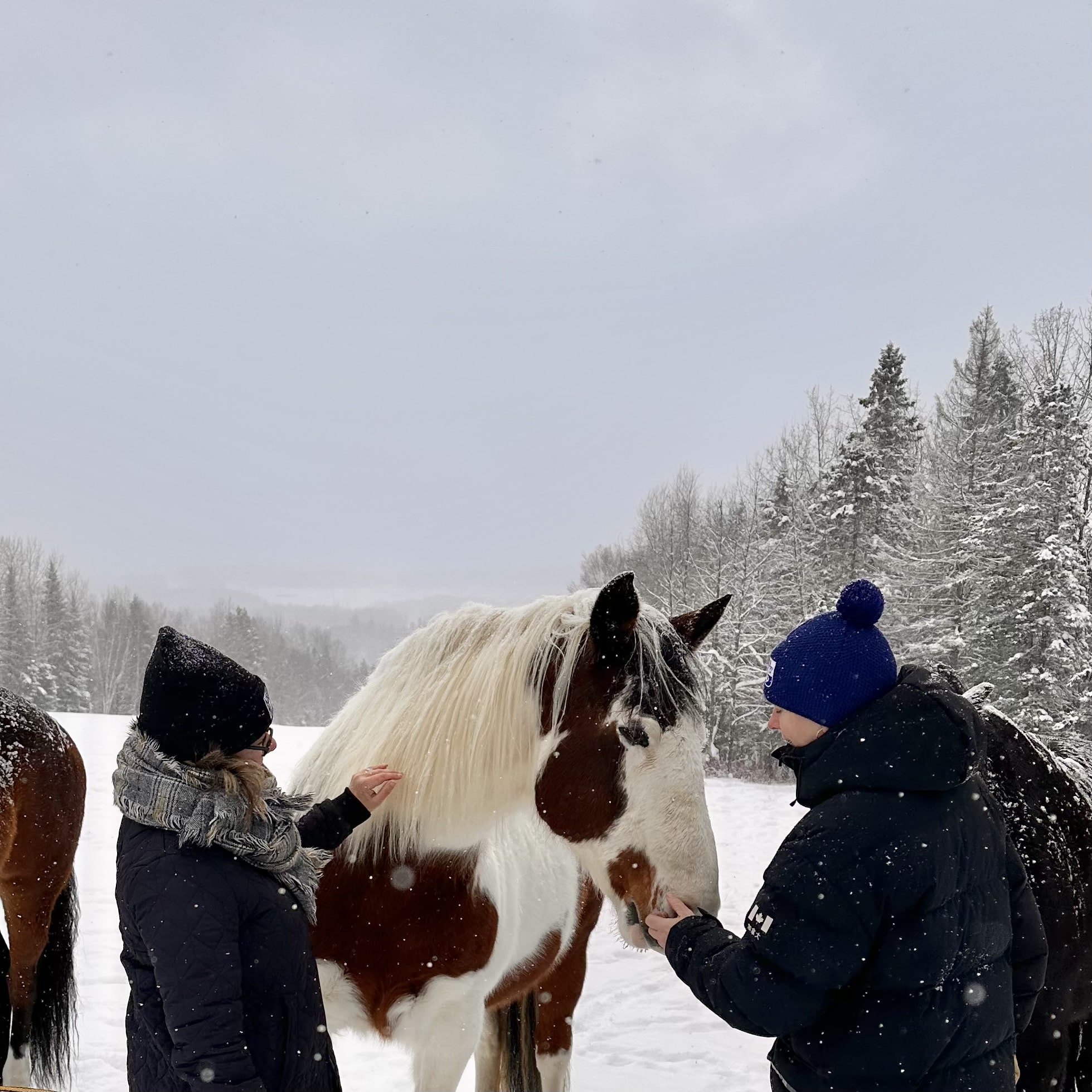 Saint_Ferréol_les_Neiges_destination_pour_un_week-end_parfait_sur_la_Côte_de_Beaupré