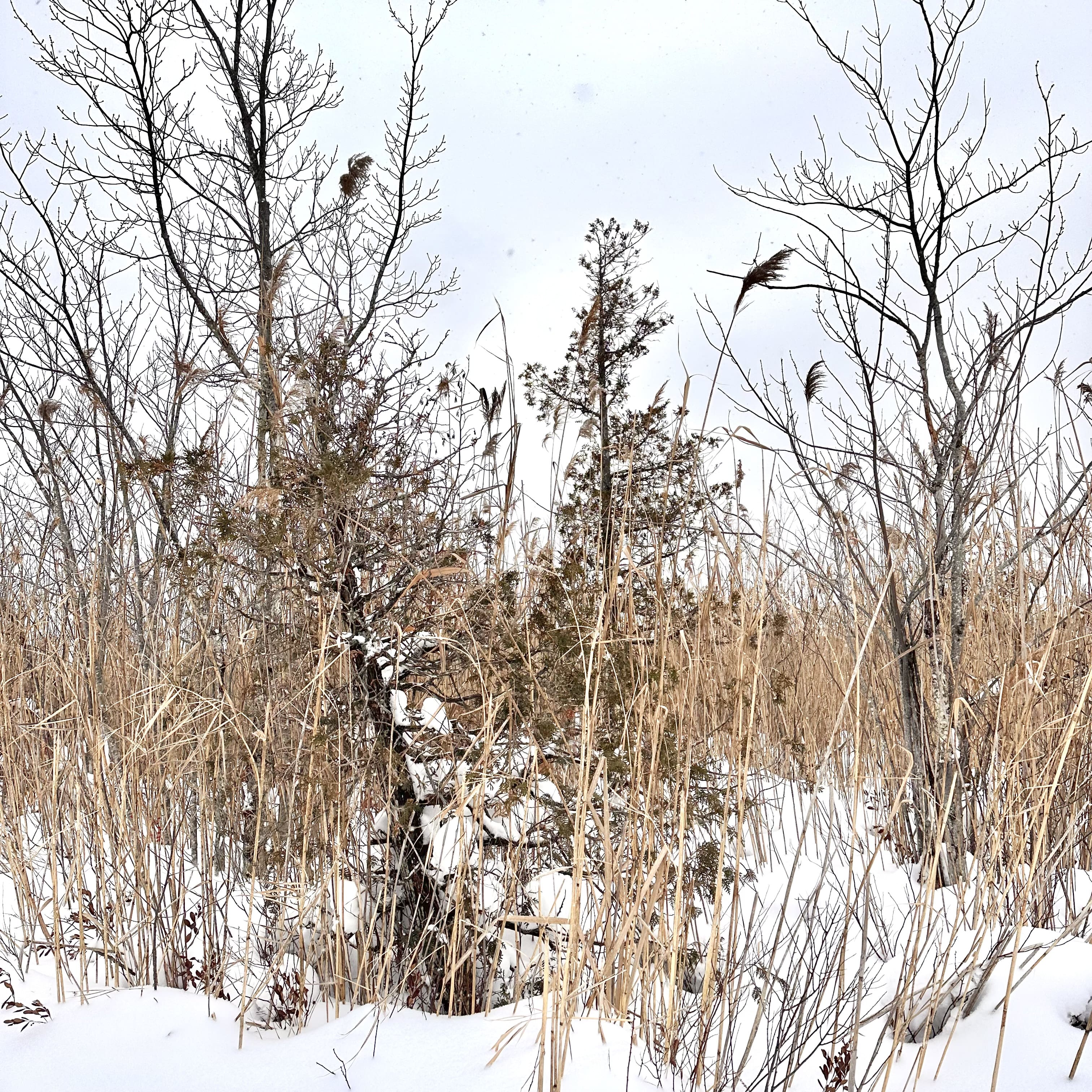 Ripplecove_escapade_de_reve_dans_les-Cantons_de_l_Est