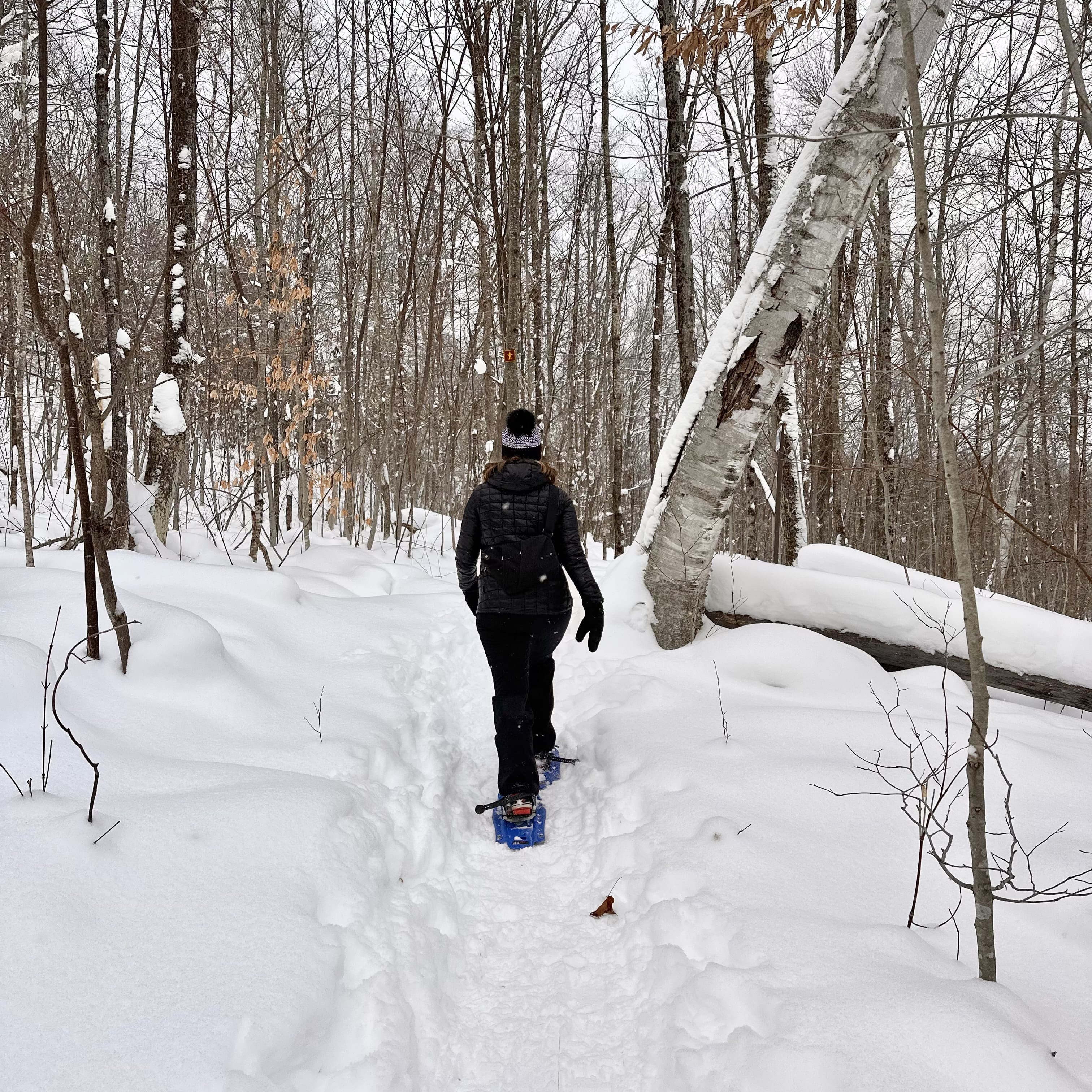 Ripplecove_escapade_de_reve_dans_les-Cantons_de_l_Est