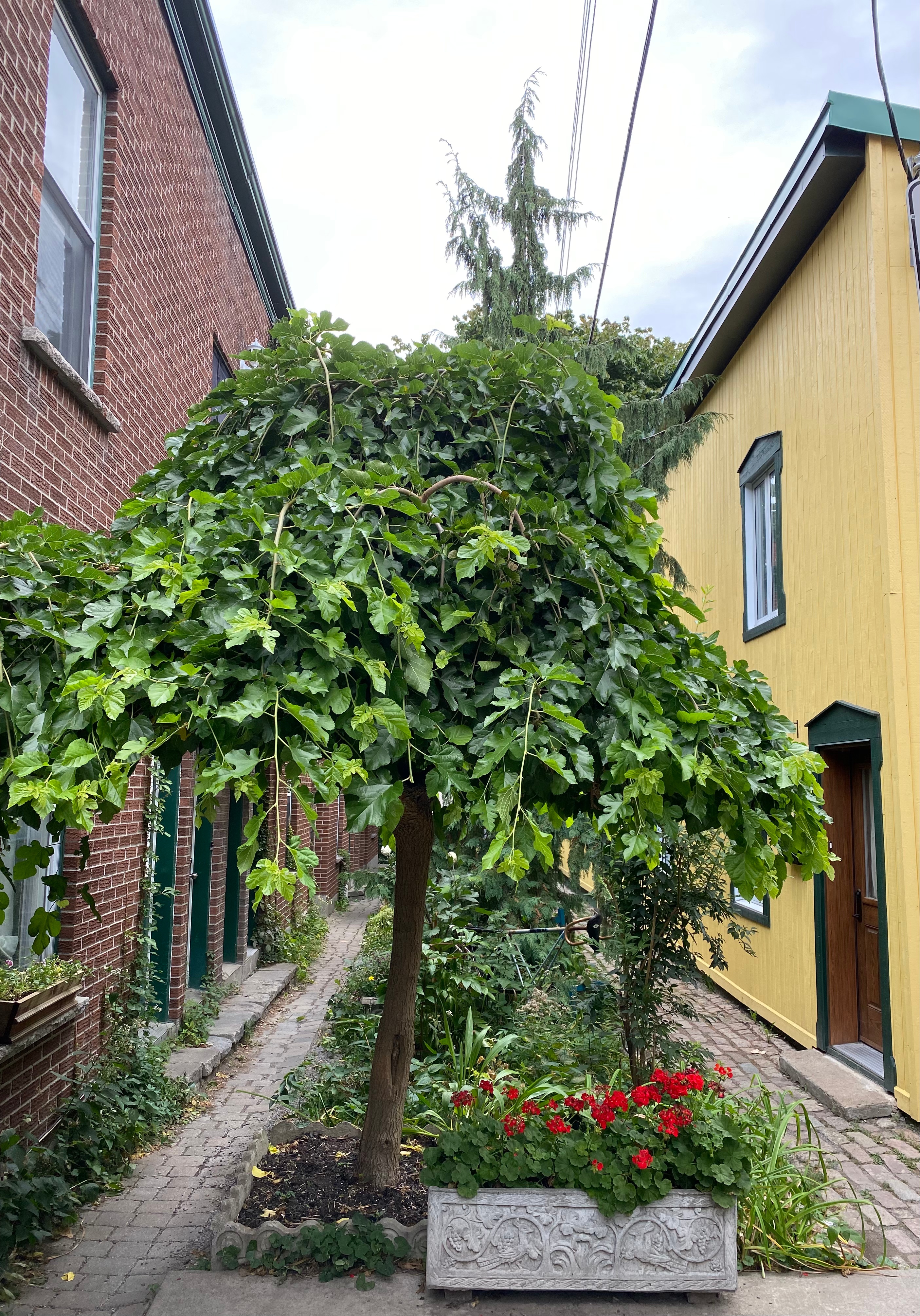 Montreal_hors_des_sentiers_battus_10_lieux_a_explorer