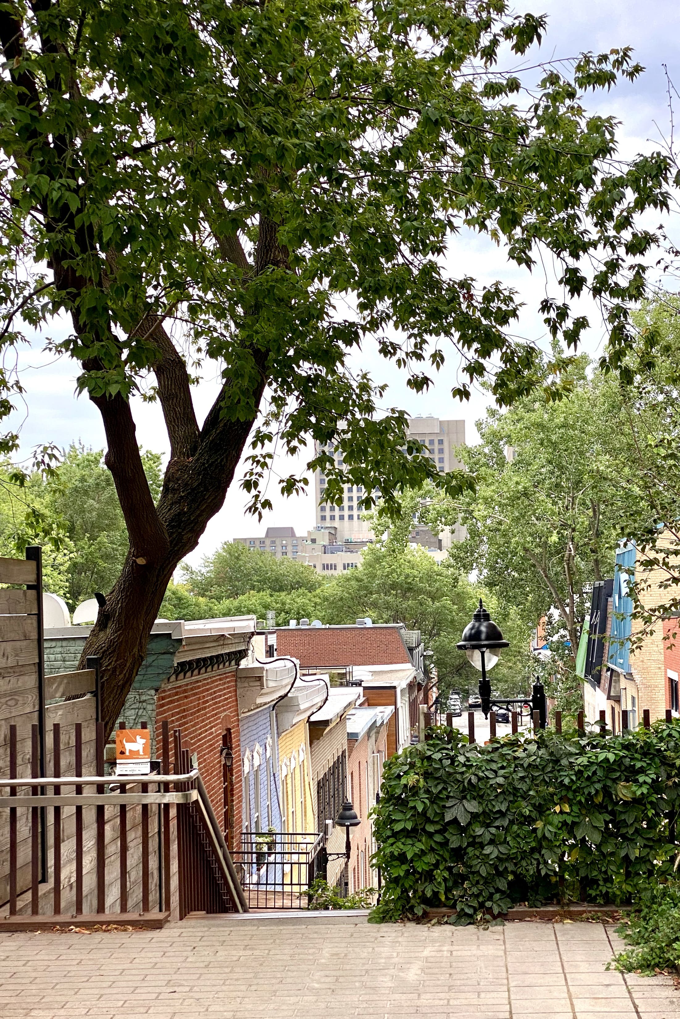 Montreal_hors_des_sentiers_battus_10_lieux_a_explorer